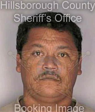 Medina Manuel - Hillsborough County, FL 
