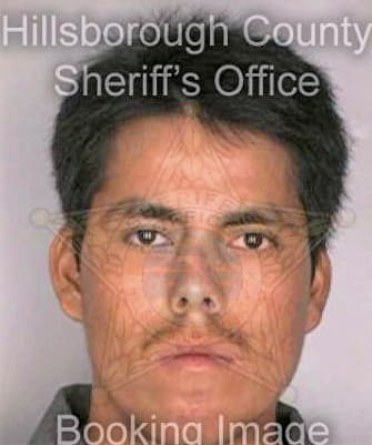 Simongonzalez Jose - Hillsborough County, FL 