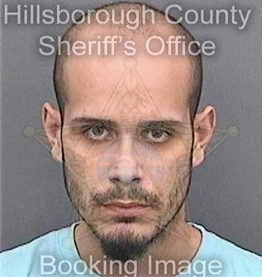 Orsini Anthony - Hillsborough County, FL 