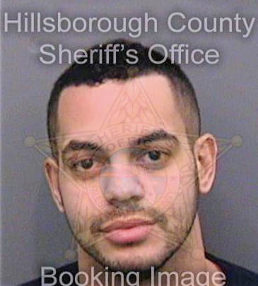 Stuart Victor - Hillsborough County, FL 