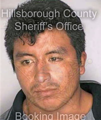 Vasquez Derly - Hillsborough County, FL 