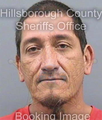 Carmona Edward - Hillsborough County, FL 