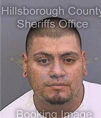 Cordova Alejandro - Hillsborough County, FL 