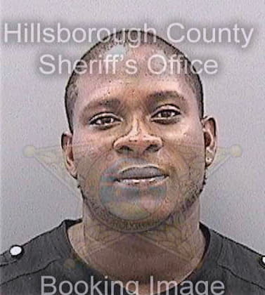 Stlouis Mackenson - Hillsborough County, FL 