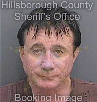 Mehring Samuel - Hillsborough County, FL 