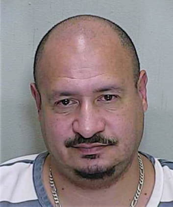 Martinez Felix - Marion County, FL 