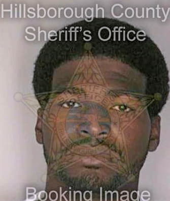 Singleton Steve - Hillsborough County, FL 