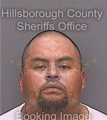 Jimonrodriguez Cristobal - Hillsborough County, FL 