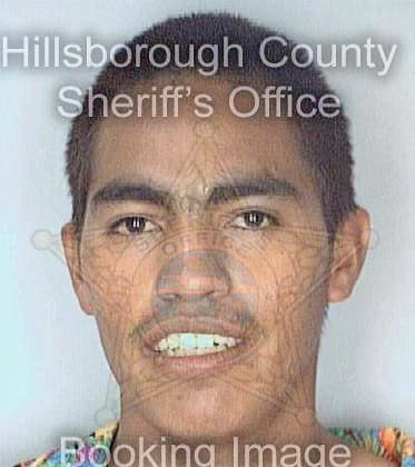 Sam Alonzo - Hillsborough County, FL 