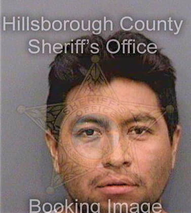 Leonjavier Celso - Hillsborough County, FL 