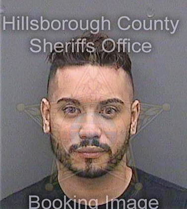 Fernandezluna Edri - Hillsborough County, FL 