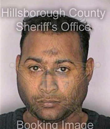 Samad Razeek - Hillsborough County, FL 