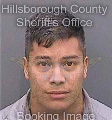 Huerta Tony - Hillsborough County, FL 