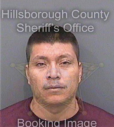 Martinezperez Rolando - Hillsborough County, FL 