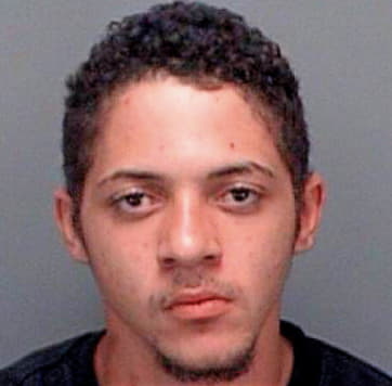 Torres Lucas - Pinellas County, FL 