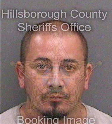 Duquesosa Nelson - Hillsborough County, FL 