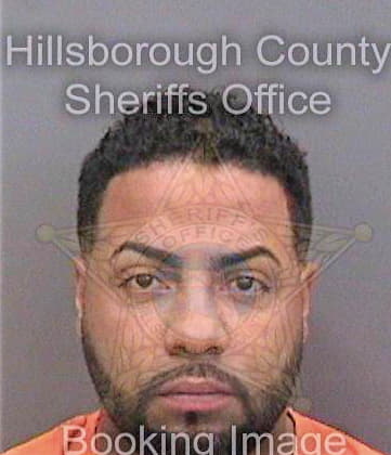 Bonilla Luis - Hillsborough County, FL 