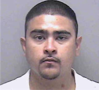 Gonzalez Valentin - Lee County, FL 
