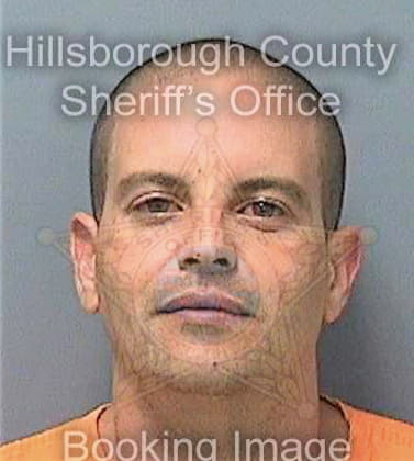 Gener Yanier - Hillsborough County, FL 