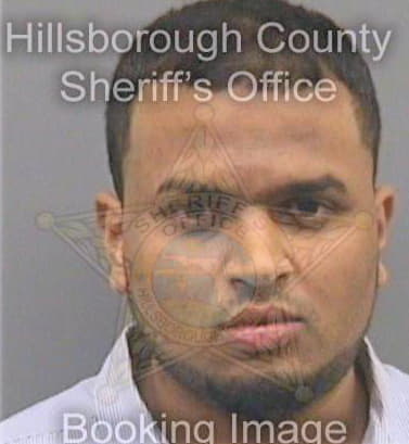 Patel Ankoor - Hillsborough County, FL 