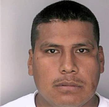 Medrano Angel - Hillsborough County, FL 