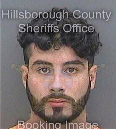 Gonzalez Cristian - Hillsborough County, FL 