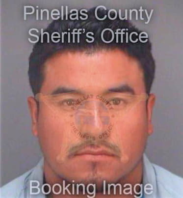 Paredes Abel - Pinellas County, FL 