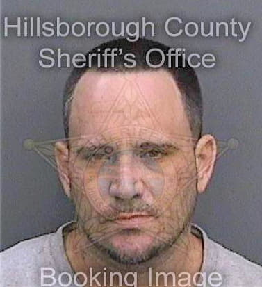 Driggers Sean - Hillsborough County, FL 