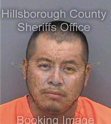 Juarezcruz Mateo - Hillsborough County, FL 