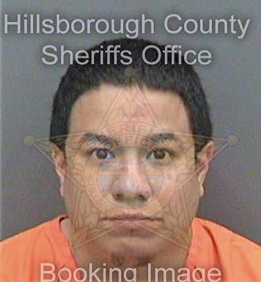 Pizarro Davis - Hillsborough County, FL 