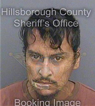 Bernadacgonzalez Jairo - Hillsborough County, FL 