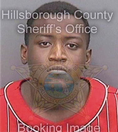 Outlaw Tarique - Hillsborough County, FL 