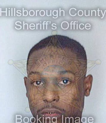 Simmons Horace - Hillsborough County, FL 