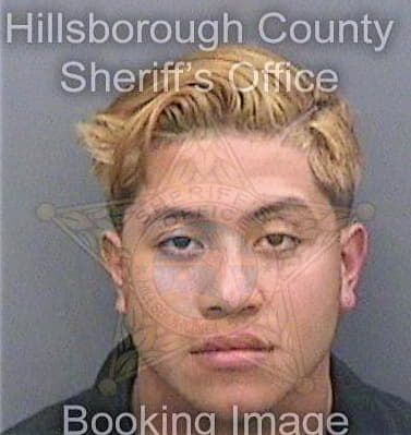 Ramirez Ivan - Hillsborough County, FL 