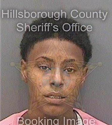 Devine Clarice - Hillsborough County, FL 