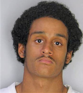 Bolden Anthony - Hillsborough County, FL 
