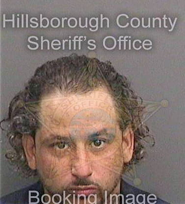 Rivera David - Hillsborough County, FL 