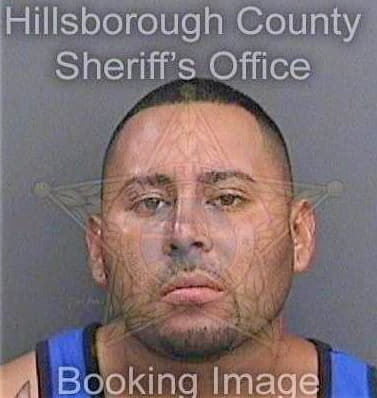 Sanchezhernandez David - Hillsborough County, FL 