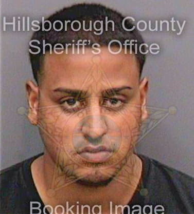 Dookhan Mark - Hillsborough County, FL 