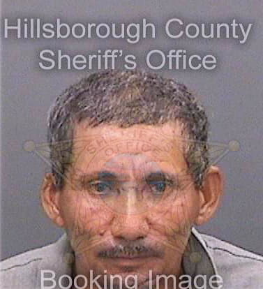 Benegasflores Carlos - Hillsborough County, FL 