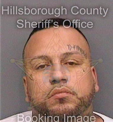 Cornejo Alfredo - Hillsborough County, FL 