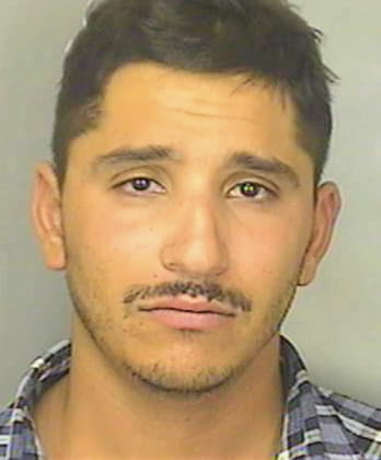 Chaidez Vicente - Polk County, FL 