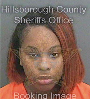 Norton Ahjah - Hillsborough County, FL 