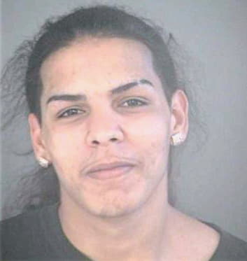 Melendez Andrew - Hillsborough County, FL 