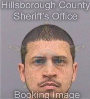 Perez Raymond - Hillsborough County, FL 