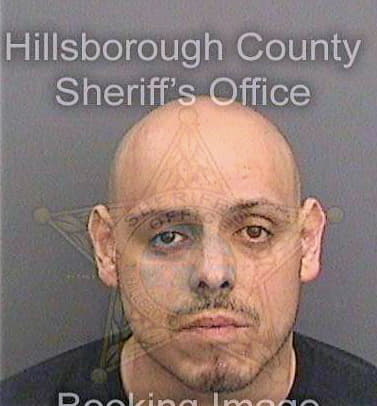 Vega Jessen - Hillsborough County, FL 