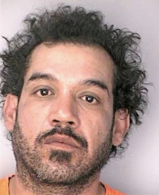 Meza Fidencio - Hillsborough County, FL 