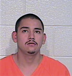 Hernandez Adrian - Hidalgo County, TX 