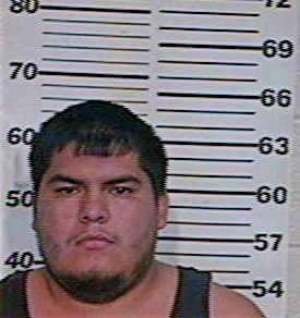 Hernandez David - Hidalgo County, TX 