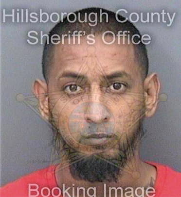 Maragh Surish - Hillsborough County, FL 